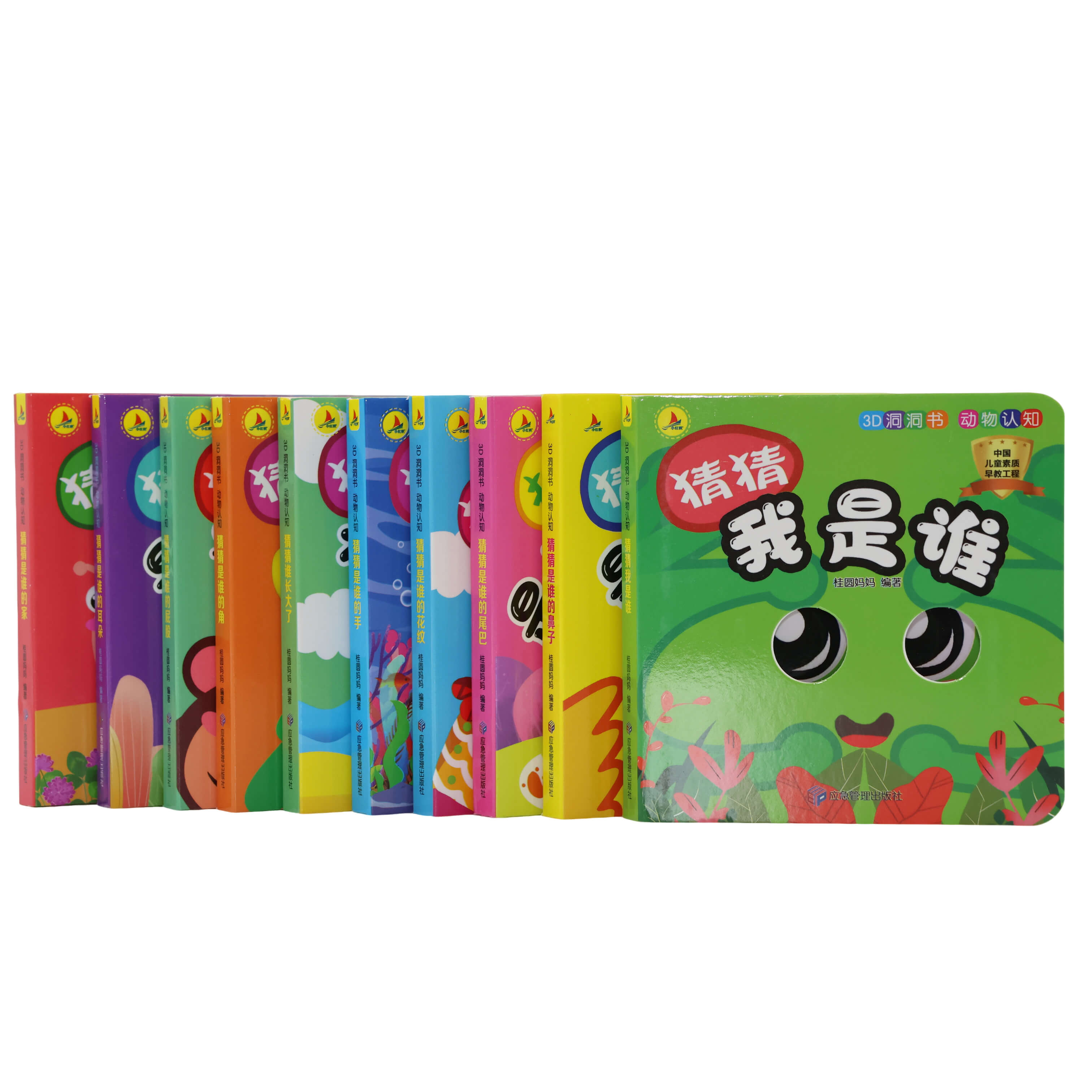 B-006 - B-006-2