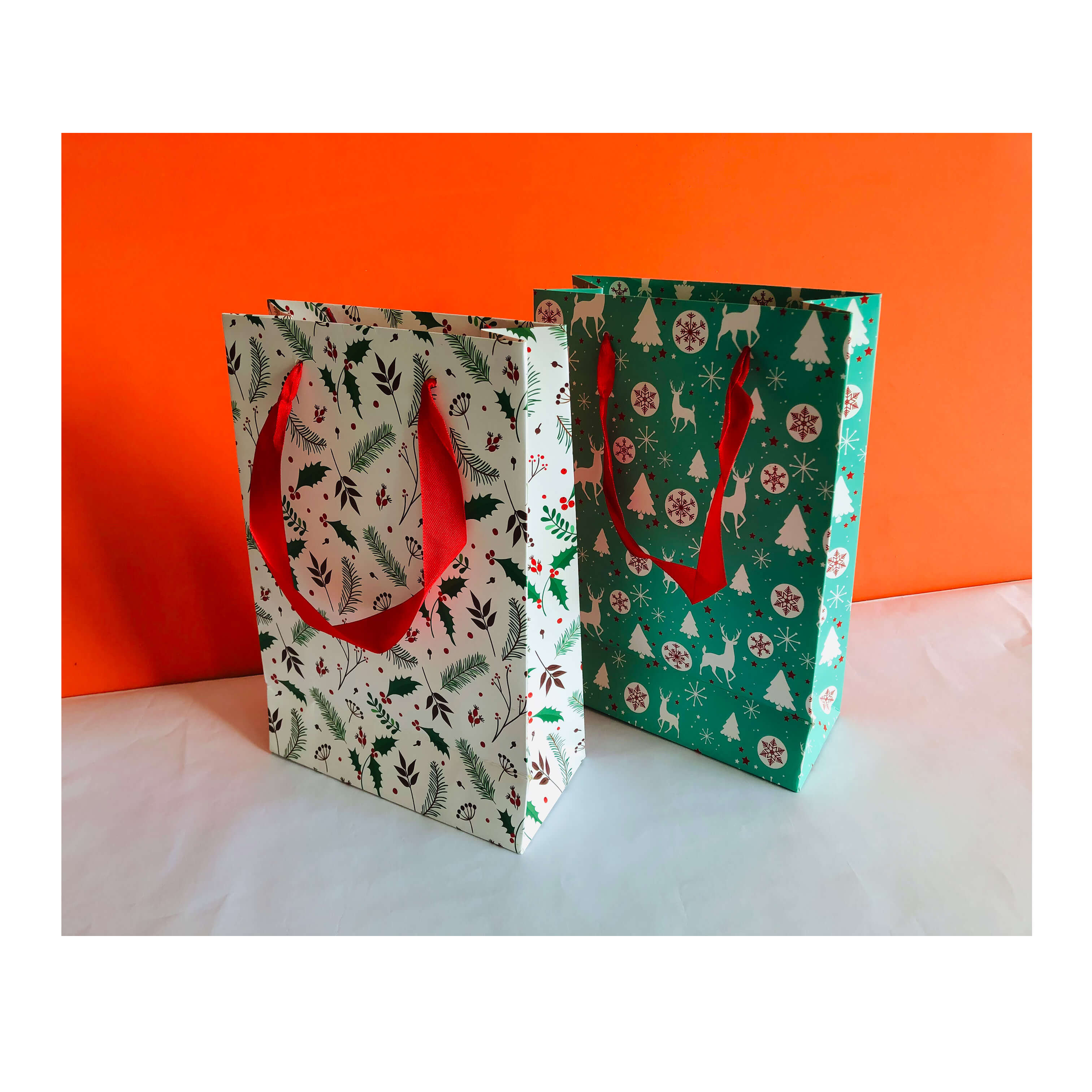 HB-019 Customized Paper Bag - HB-019