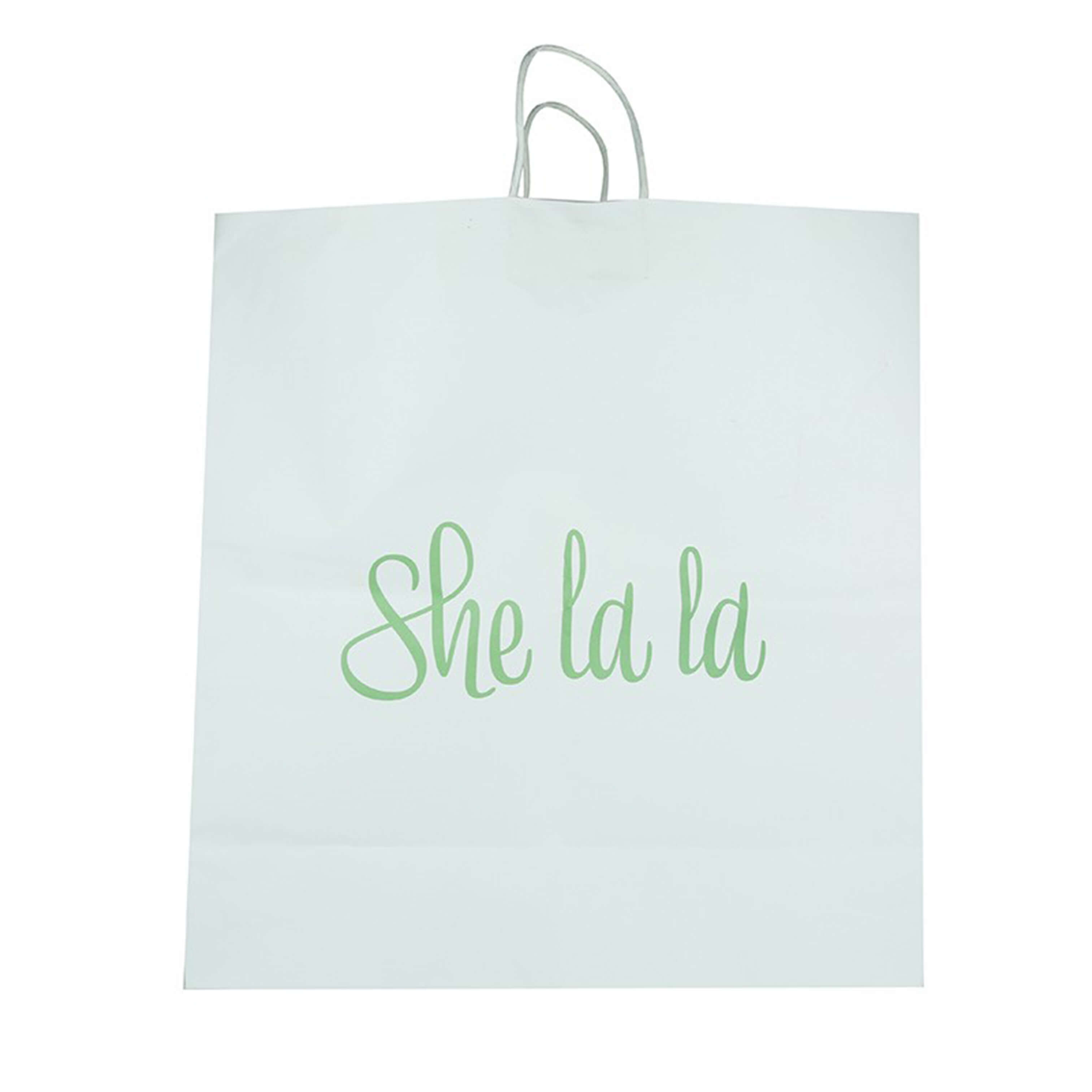 HB-030 Customized Paper Bag - HB-030
